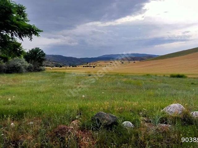 ANKARAELMADAĞ KARACAHASAN MAH. 2 DÖNÜM TEK TAPU YATIRIMLIK ARAZİ