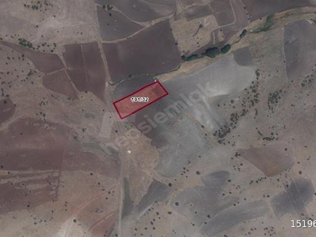 ÇANKAYA TOHUMLAR 578 M HİSSE TAPULU SATILIK