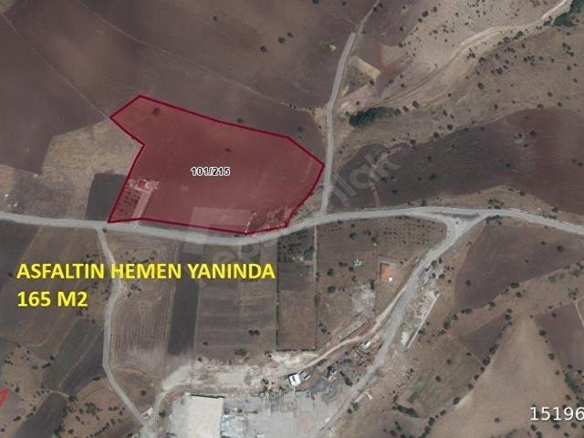 ÇANKAYA TOHUMLAR ASFALT YOLA CEPHE 165 M HİSSE TAPULU SATILIK