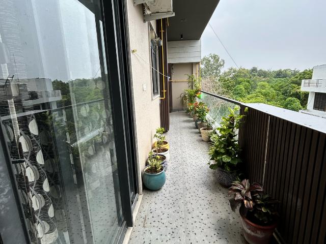 Ansal Plaza Sector 23 2 Bedroom 3200 Sq. Ft. Builder Floor in Sector 23 Gurgaon Listing ID: #9854