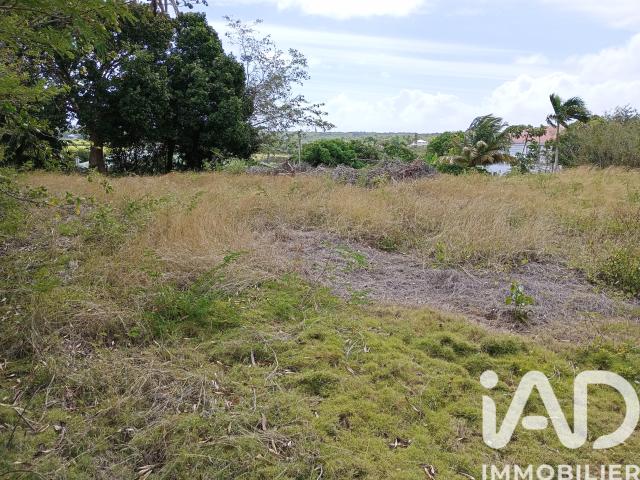 Anse Bertrand Vente Terrain 97