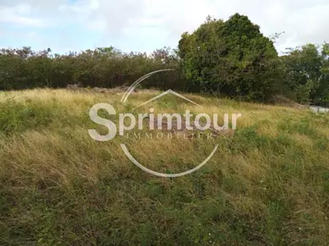 Anse Bertrand 97121 Achat / Vente terrain