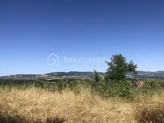 Anse 69480 Achat / Vente terrain