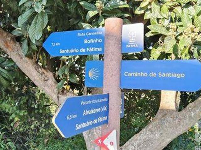 Ansiao Leiria 103246570