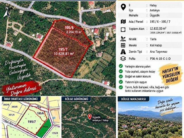 ANTAKYA ÜÇGEDİKTE GELECEĞE DEĞER KATACAK YATIRIMLIK ARSA