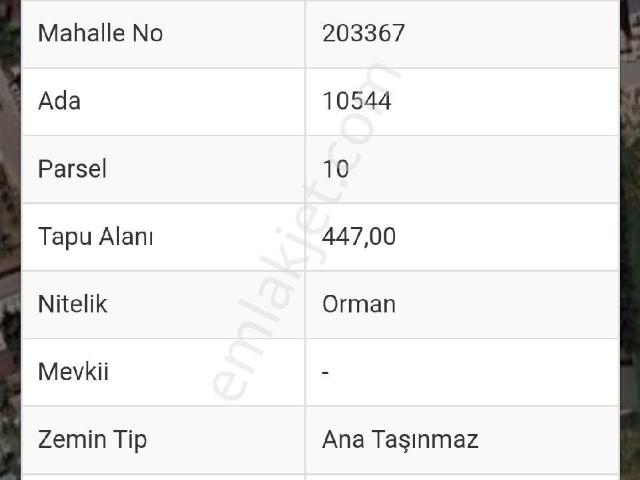 Antalya Muratpaşa Ermenek Mh Satılık Müstakil 2 Katlı Ev