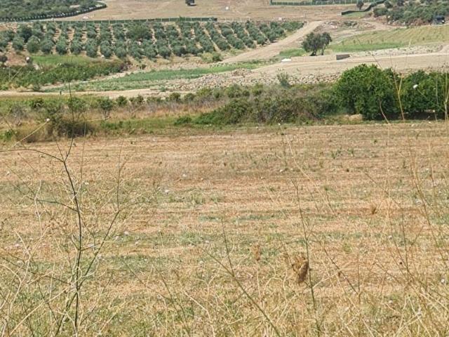 ANTALYA MANAVGAT GÜNDOĞDU HOCALAR MEVKİ 275 M2 HİSSE