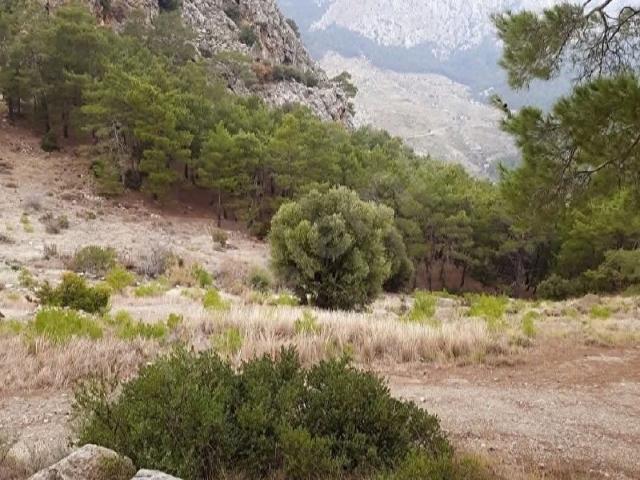 Antalya merkez'e yakın müstakil tapu