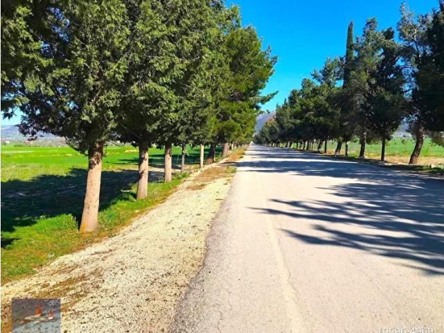 ANTALYA ÇOMAKLI DA SATILIK TARLA ANAYOLA SIFIR SU ELKTRİK VAR ACİL SATILIK ALDIGINIZ ANDA KARLISINIZ