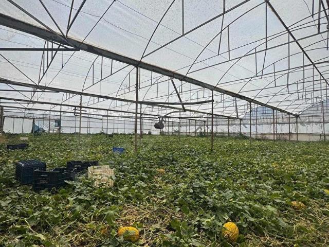 Antalya Aksu dumanlar Köyü'nde müstakil evli 6277 metre tarla