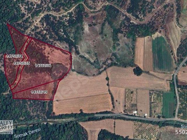 ANTALYA AKSU KARAÖZ'DE SATILIK 42.789 m2 TARLA