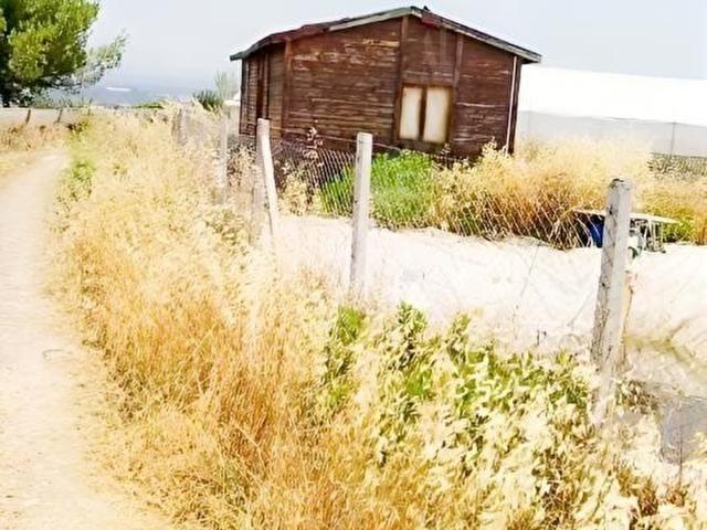 ANTALYA AKSU KARAÖZDE SATILIK FIRSAT TARLA