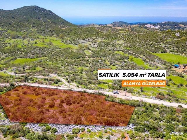 ANTALYA ALANYA GÜZELBAĞ FATİH MAHALLESİ