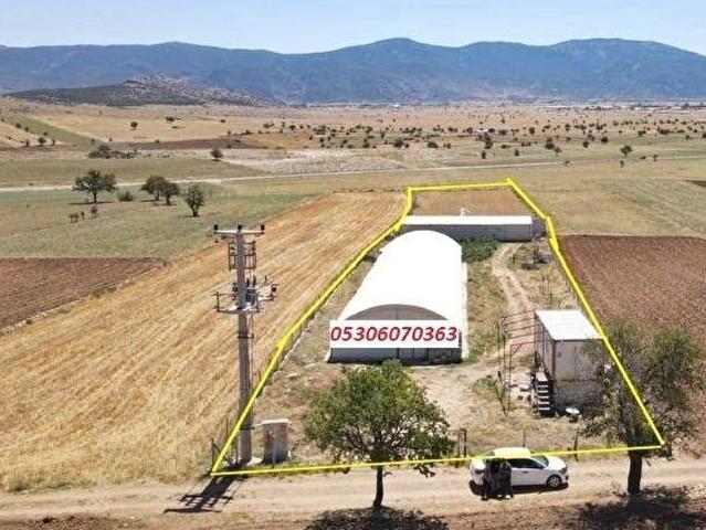 ANTALYA BOZOVA SATILIK ÇİFTLİK KURULU DÜZEN ELKTRIK YOL SU VAR DAİRE ARAÇ TAKASI YAPILIR