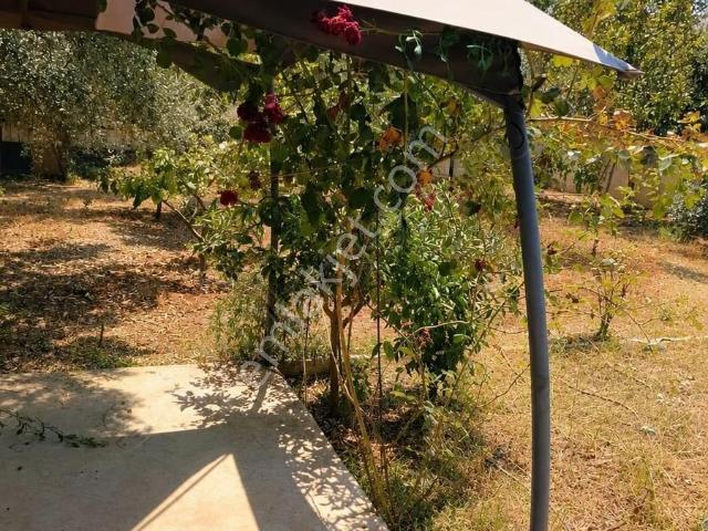 Antalya Doğayla İç İçe Asansörlü 4+1 Eşyalı Kiralık Villa