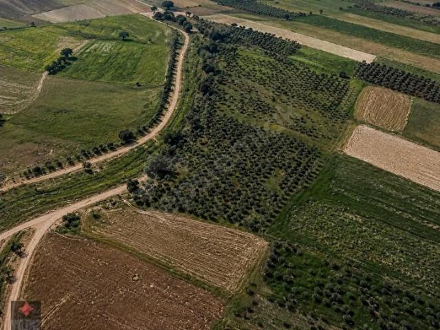 DÖŞEMEALTI EKŞİLİ MAHALLESİNDE SATILIK 14.589 m TARLA
