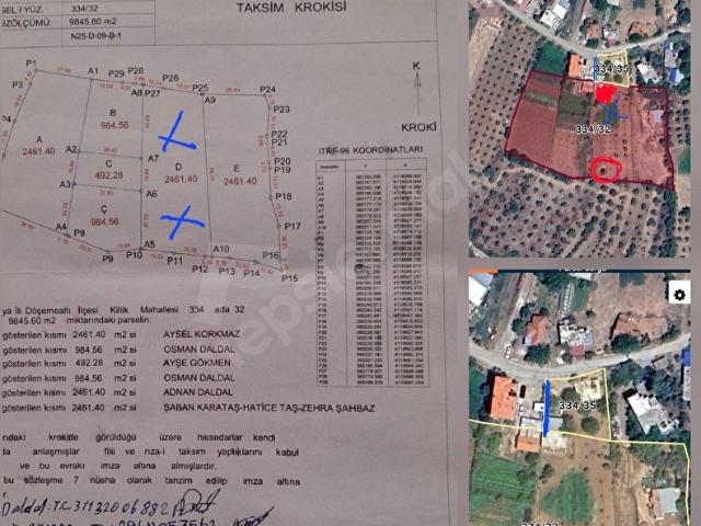 ANTALYA DÖŞEMEALTI KİLLİK KÖYÜ YERLEŞİM YERİNDE 2500 M2 İÇİNDE YETİŞMİŞ ZEYTİN BAHÇESİ VE EVİ İLE