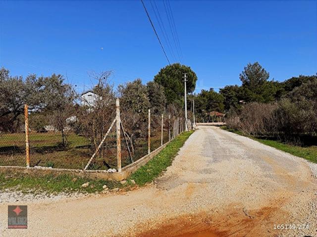 ANTALYA DÖŞEMEALTI YEŞİLBAYIR DUACI SINIR SATILIK 793 M2 TARLA