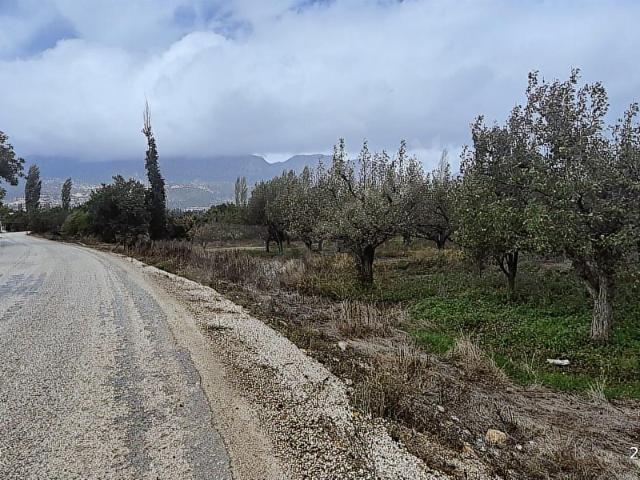 Antalya Elmalı Akçay Armutlu Yoluna Sıfır Satılık 4500 M2 Bahçe