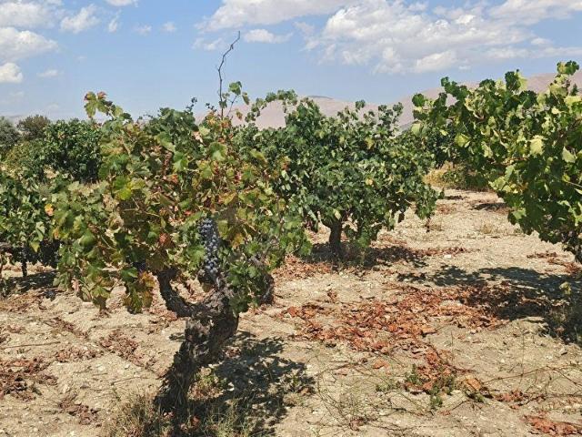 Antalya Elmalı Gölova Mahallesinde Eşsiz Yatırım Fırsatı!