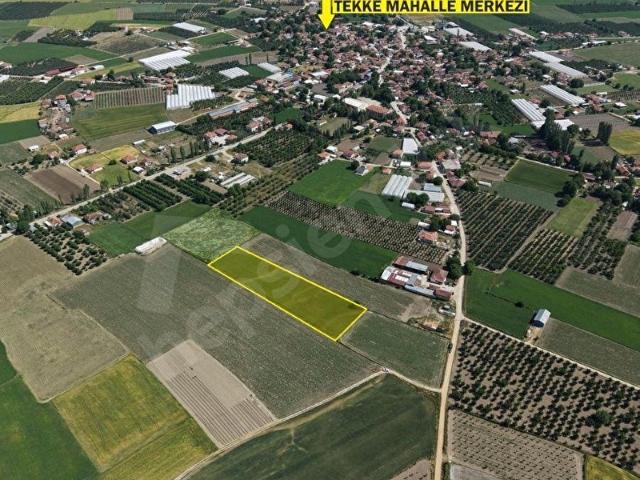 ANTALYA ELMALI TEKKE MAH'DE 6.560m2 YOLA YAKIN VERİMLİ,YATIRIM VE TARIMSAL ÜRETİM İÇİN SATILIK TARLA