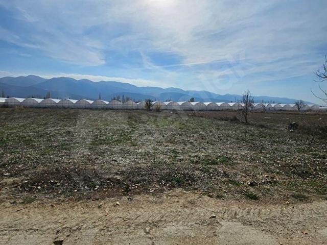 ANTALYA ELMALI ÇAYBAŞI MAH'DE ELEKTRİK,SU,YOL PROBLEMİ OLMAYAN 3.206m2 SATILIK TARLA