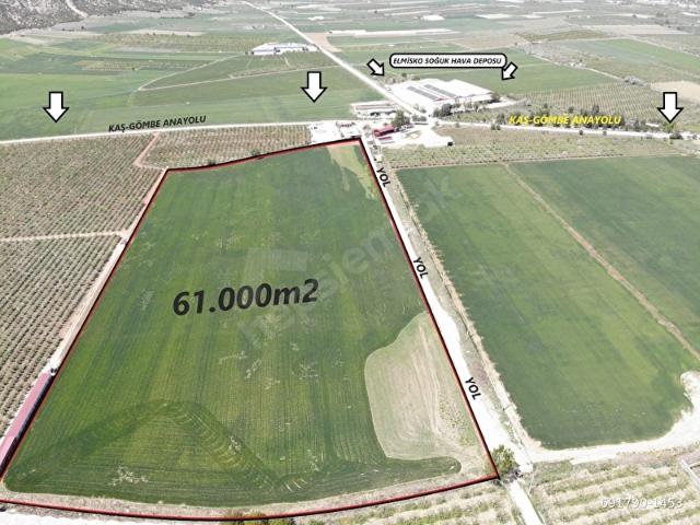 ANTALYA ELMALI BEYLER MAHALLE MERKEZİNDE YOLA CEPHE 61.000m2 SATILIK TARLA