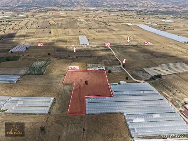 ANTALYA ELMALI BÜYÜKSÖĞLE MAH'DE 7.648 m VERİMLİ SATILIK TARLA