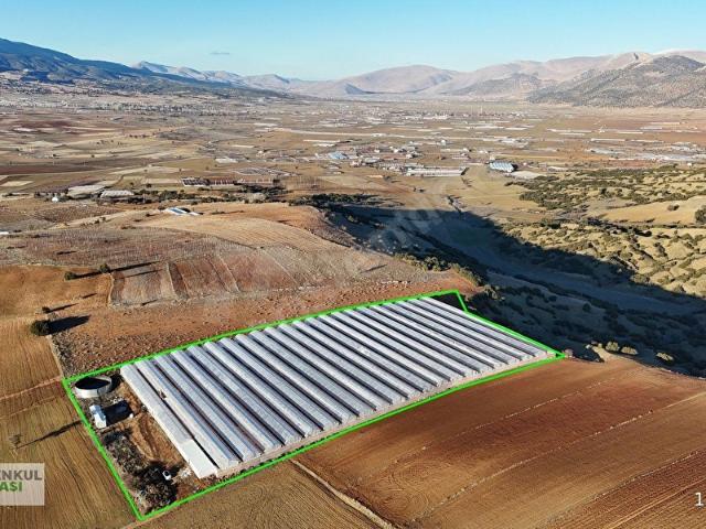 ANTALYA ELMALI KOCAPINAR'DA SATILIK SERA VE TARIM ARAZİSİ