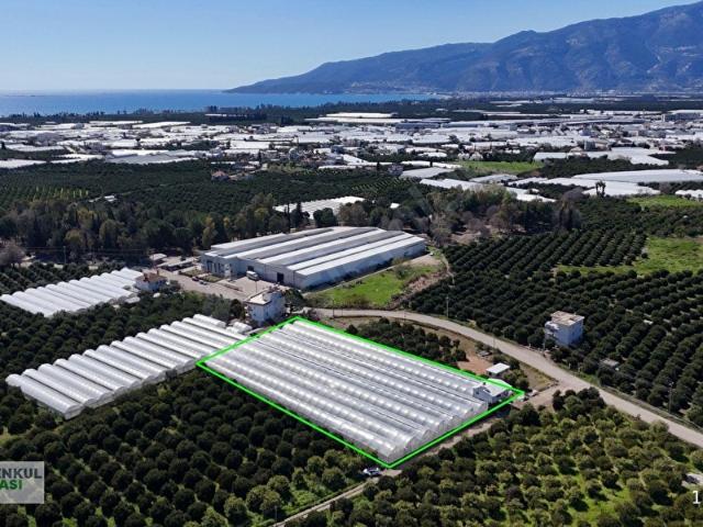 ANTALYA FİNİKE HASYURT 5.100 M2 SERA VE İŞÇİ EVİ SATILIKTIR