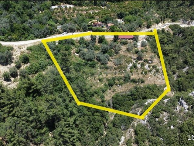 Antalya Finike Ernez Mahallesi4.255 m Tek Tapu Arazi