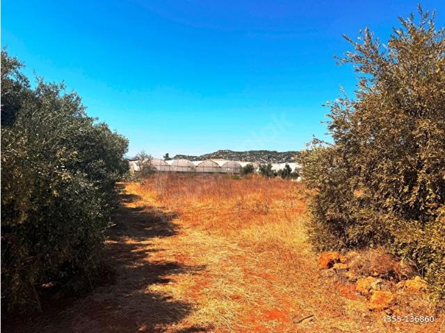 ANTALYA HAVALİMANI YAKINI 318m2 İMARLI PROBLEMSİZ SATILIK ARSA