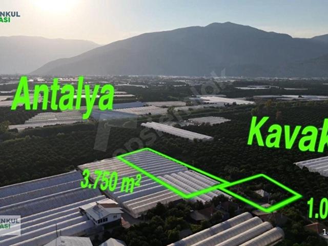 ANTALYA KUMLUCA KAVAK MAH. SERA VE 2 EV