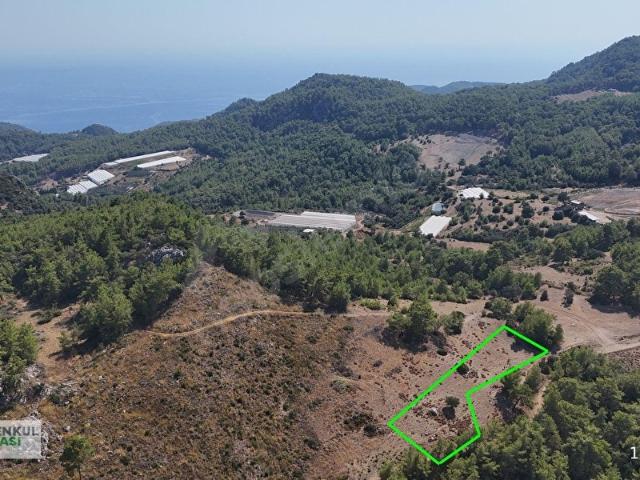 ANTALYA KUMLUCA YEŞİLKÖY MAH.SATILIK 1.557 m TARLA