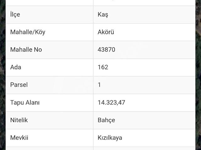 Antalya Kaş Akörüde Satılık 14.323 m Bahçe Nitelikli Tarla