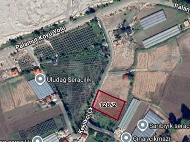 ANTALYA KAŞ AKLAR MAHALLESİ 2709 m2 MÜSTAKİL TARLS