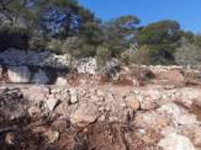 Antalya Kaş Gelemiş Köyü Yeşilköyde 500M2 Satılık Arazi