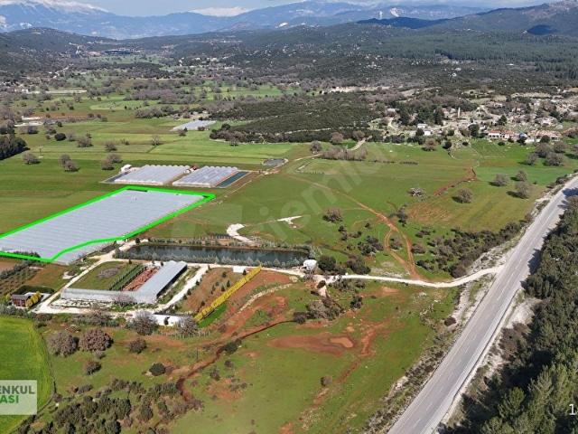 ANTALYA KAŞ SARILAR MAH. KOCAALAN MEVKİNDE 12.000 M2 SERA
