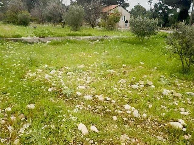 Antalya Kat Karşılığı veya Satılık Arsa ARANIYOR 4002000 m2
