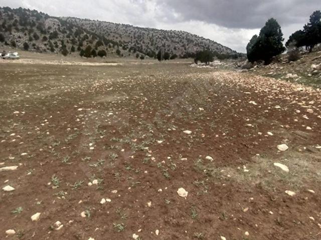 ANTALYA KORKUTELİ YELEME YAYLASINDA SATILIK 7556 M2 TARLA