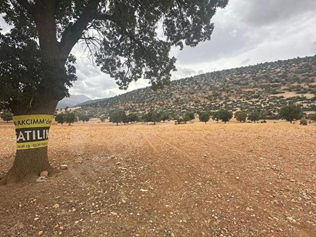 ANTALYA KORKUTELİ AVDAN MAH TEK TAPU 2.685,39 M2 BURNAK MEVKİNDE