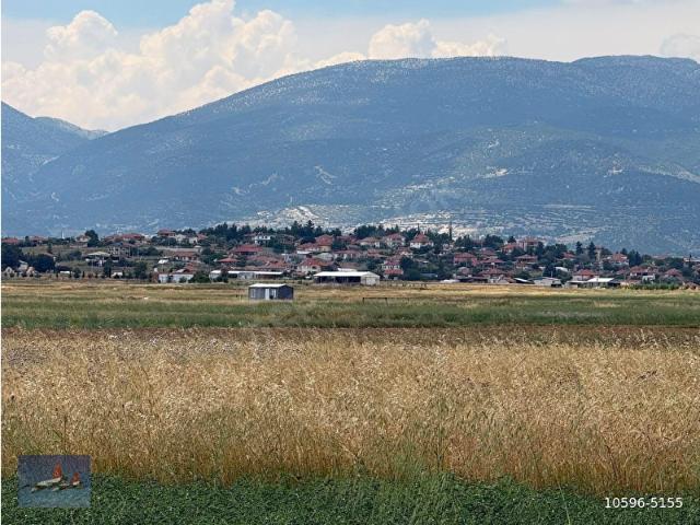 ANTALYA KORKUTELİ BOZOVA DA SATILIK TARLA 4.250 M2 ACİL SATILIK SADECE 650 000 TL DIR İLK GELEN ALIR