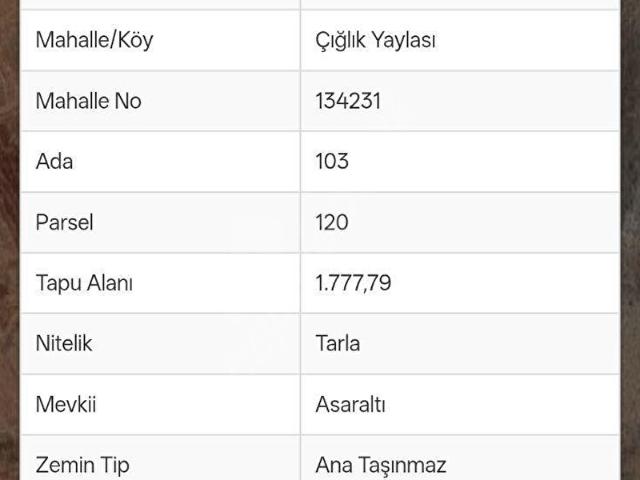 ANTALYA KORKUTELİ ÇIĞLIK YAYLASI'NDA SATILIK TARLA