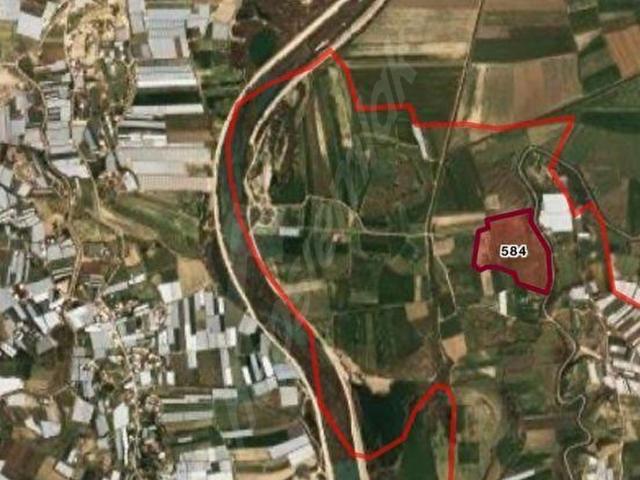 Antalya Serik Nebiler Durum burnu mevki satılık 15 dönüm tarla