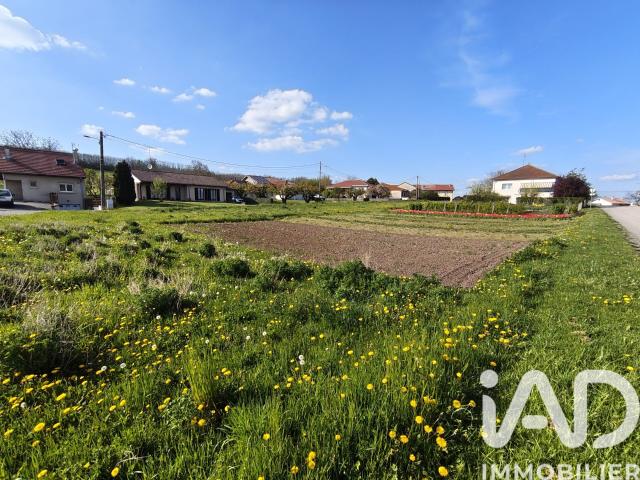 Anthelupt Vente Terrain 54