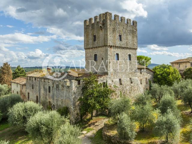 Antica Torre Medievale sulla Via Francigena, Monteriggioni. 400m² Monteriggioni