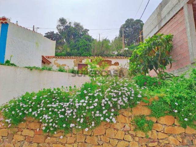 Antigo Palheiro para Reconstrução na Bordeira