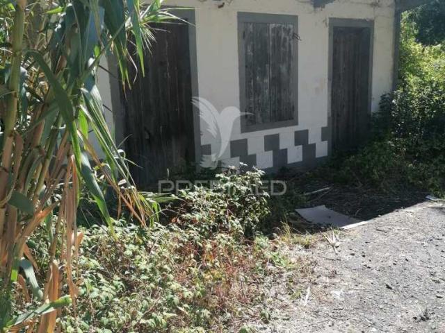 Antiga Mercearia com 1.600m² – Ideal para Taberna da Poncha