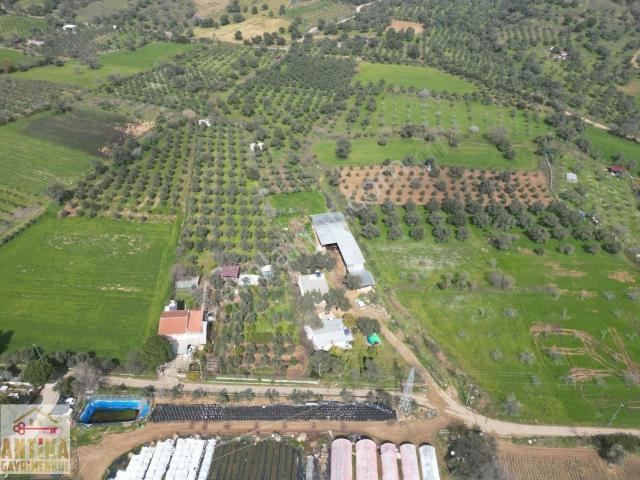 Antika Gayrimenkul'den 2 Müstakil Ev + 1 Dam Olan Satılık Bahçe