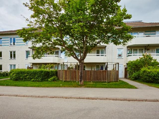 Antikvarievägen 14